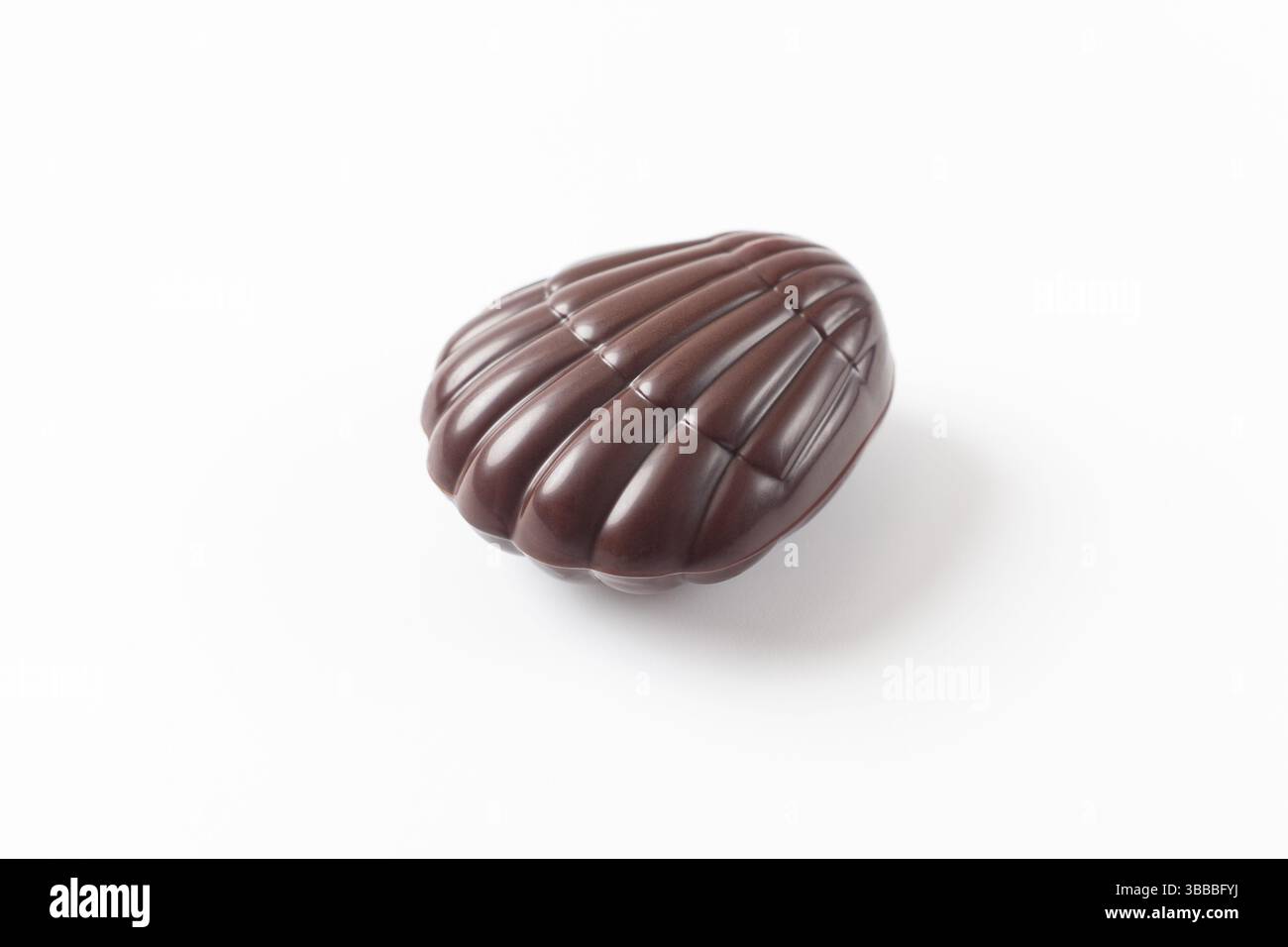 Seashells Chocolate on A White Background Stock Photo