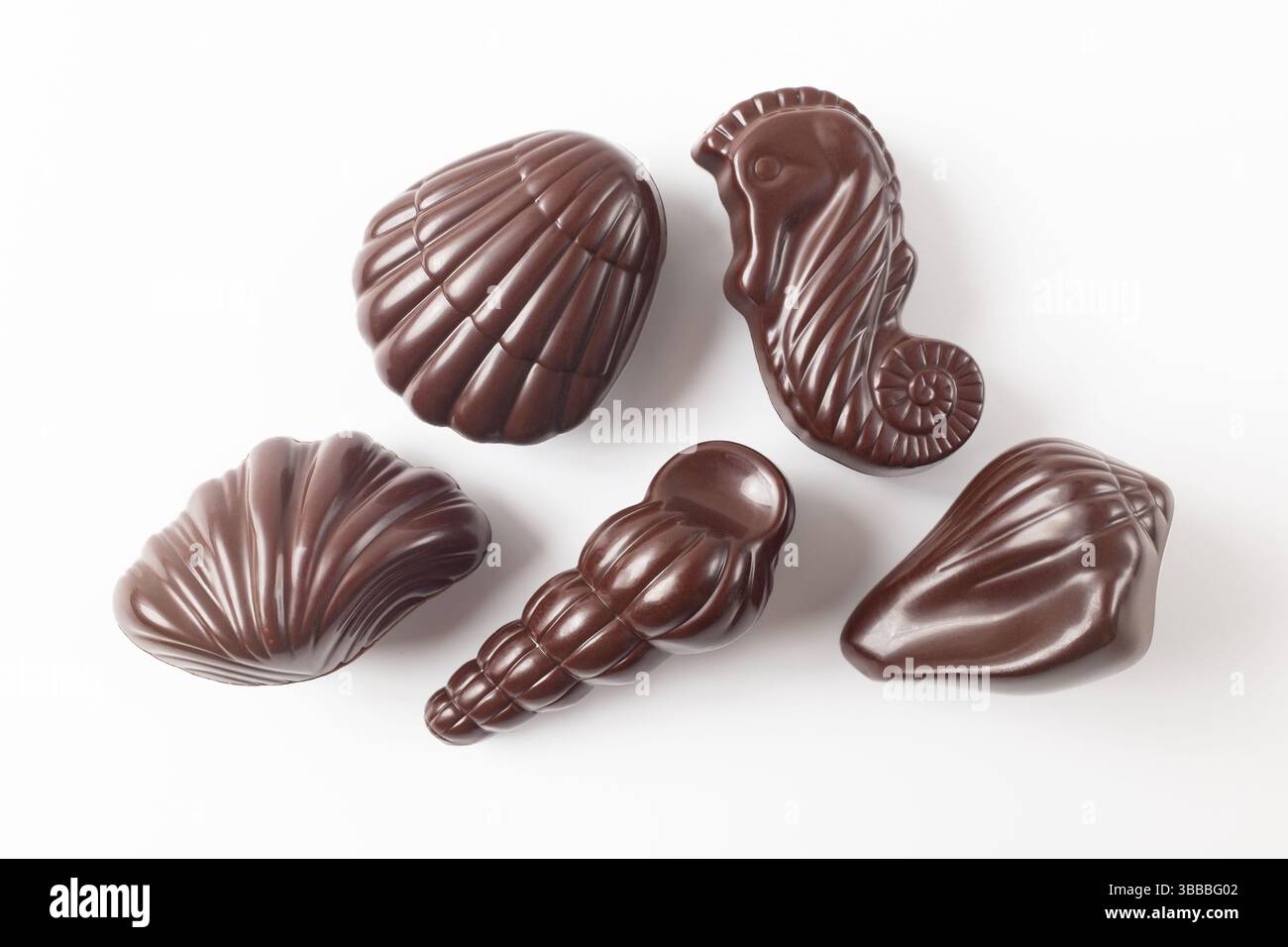 Seashells Chocolate on A White Background Stock Photo