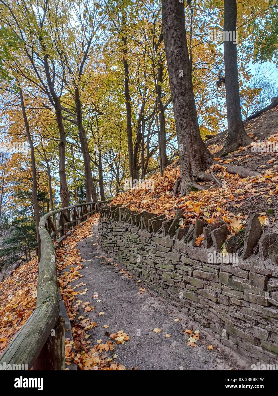 A quiet forest trail with a wooden fence winds through the lush ...