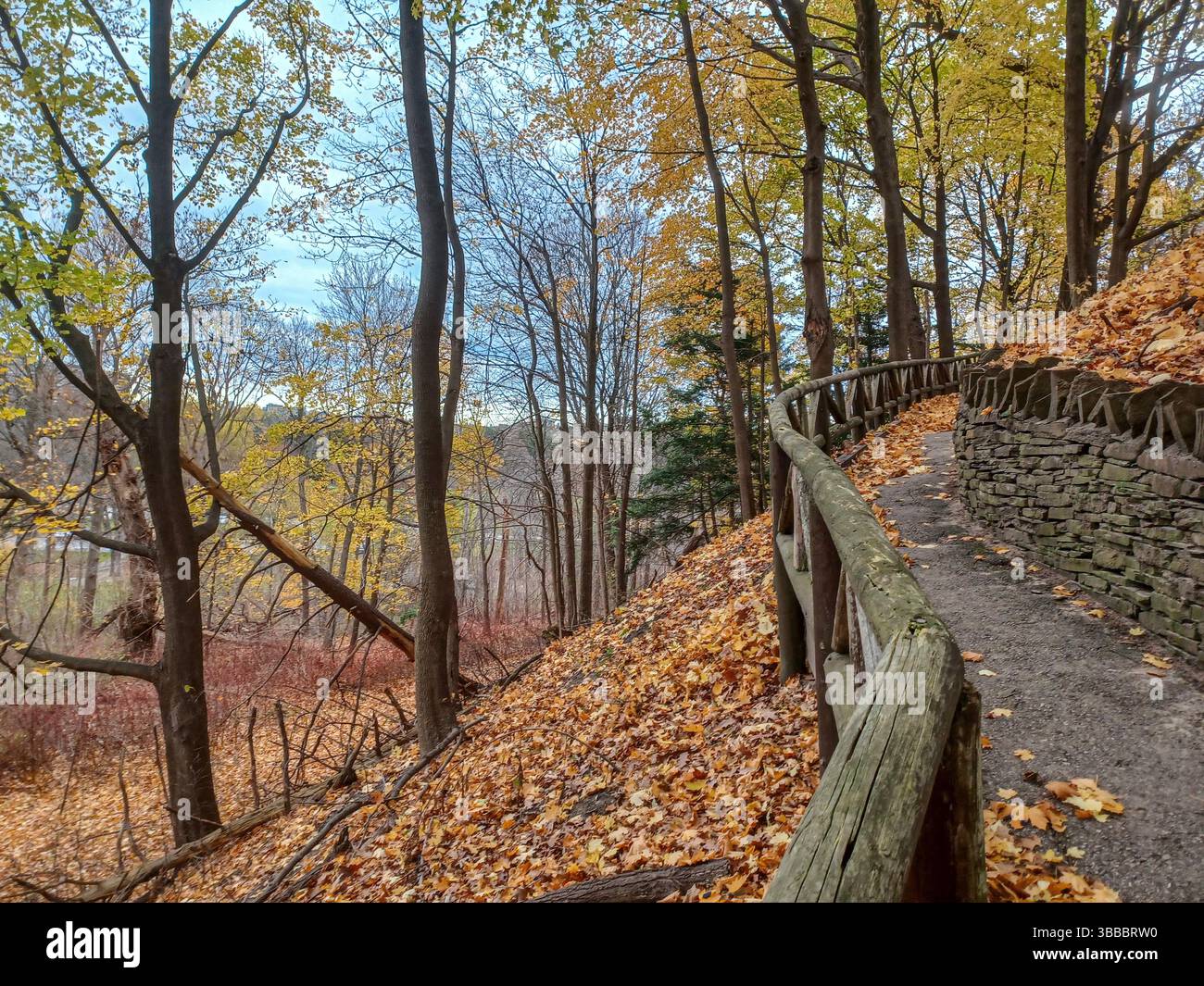 A quiet forest trail with a wooden fence winds through the lush ...