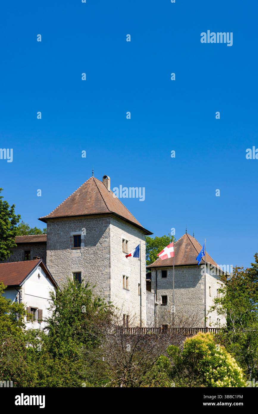 Medieval french flag hi-res stock photography and images - Alamy