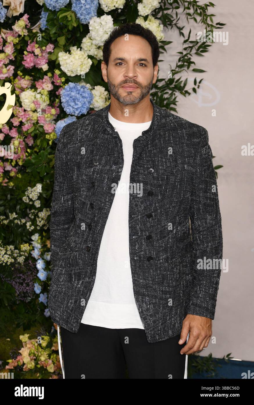 New York, NY, USA. 13th May, 2025. Daniel Sunjata at the 2025 Disney