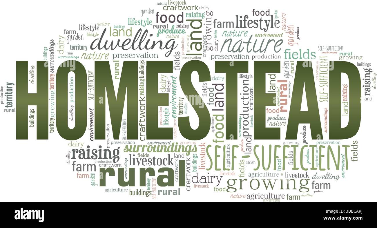 Homestead word cloud conceptual design isolated on white background ...