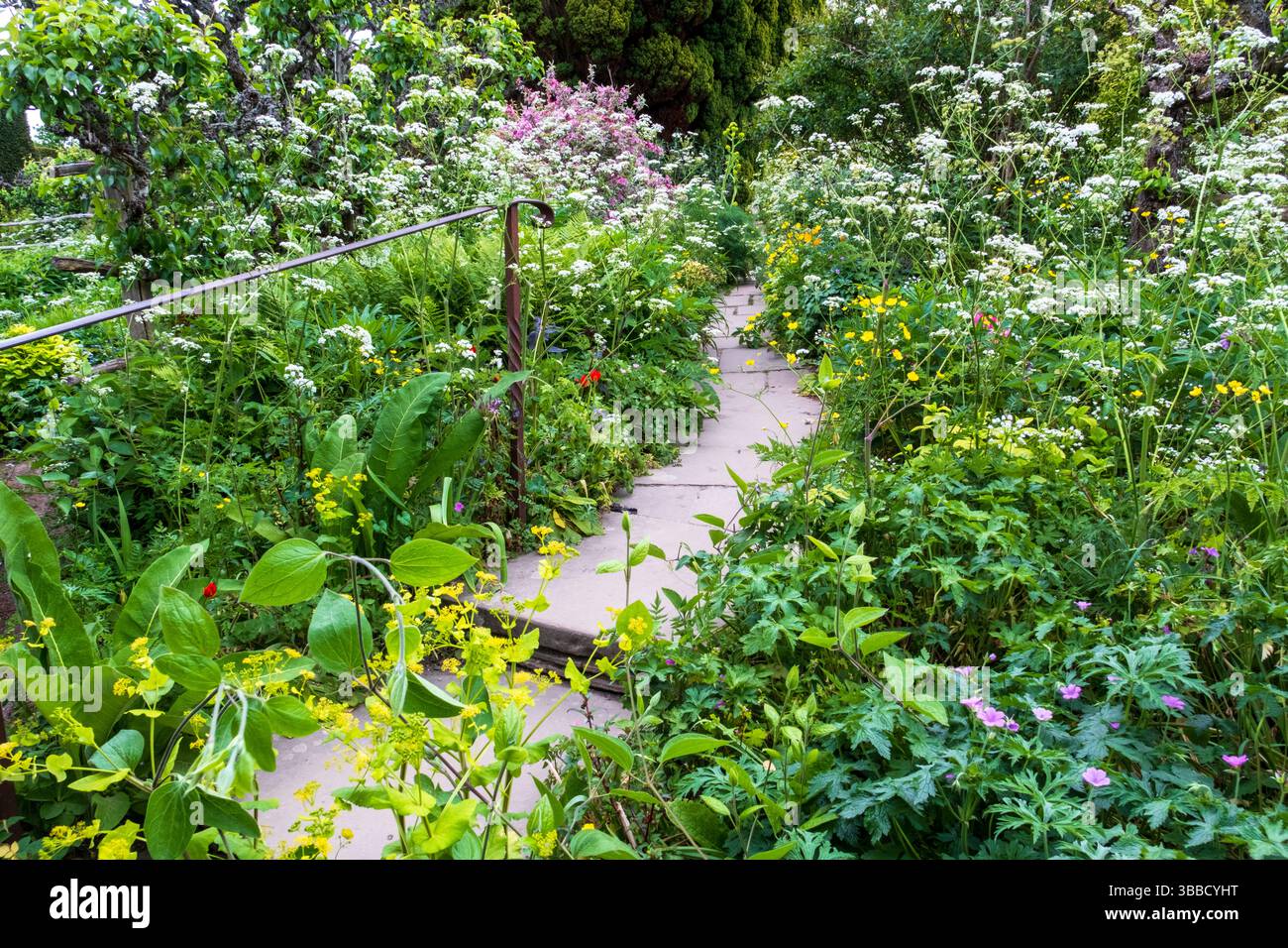 A garden path through spring flowers at Great Dixter, East Sussex, UK Stock Photo