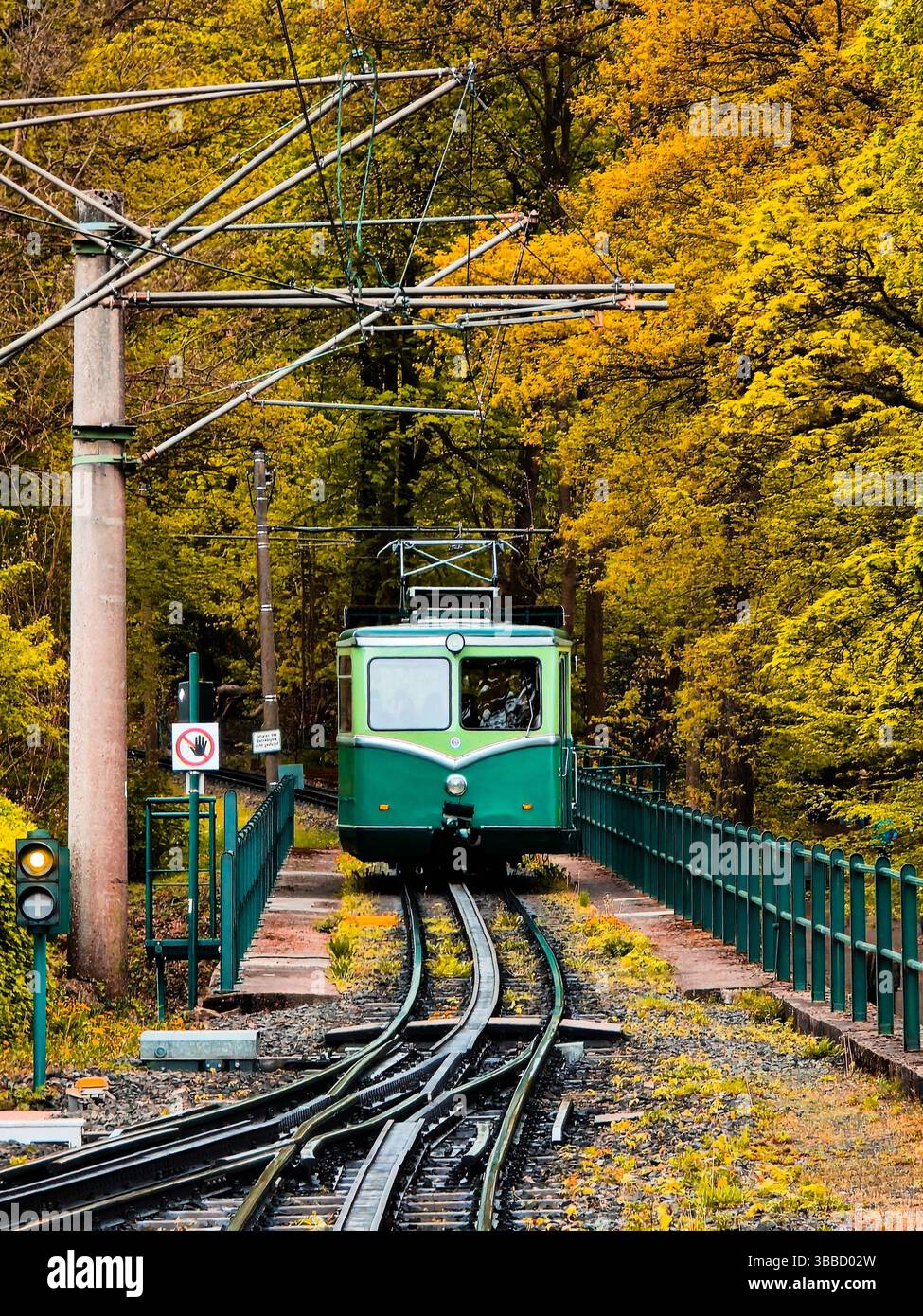 Front view of a green funicular railway car on tracks surrounded by vibrant autumn foliage. - Smartphone Captured Stock Image