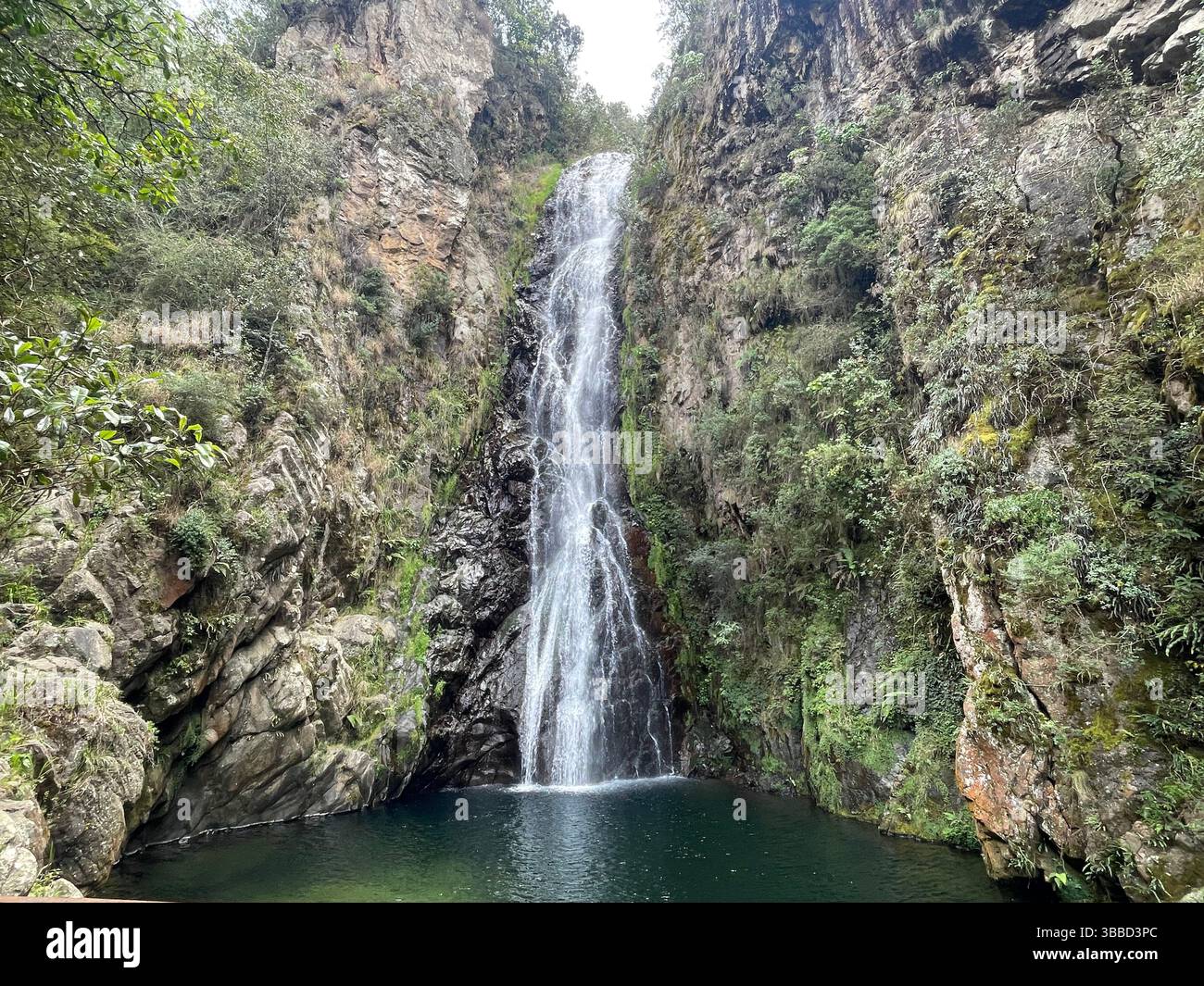 Stunning scenic view of waterfall in the mountains on a tropical island, lush nature and vibrant environment - Smartphone Captured Stock Image