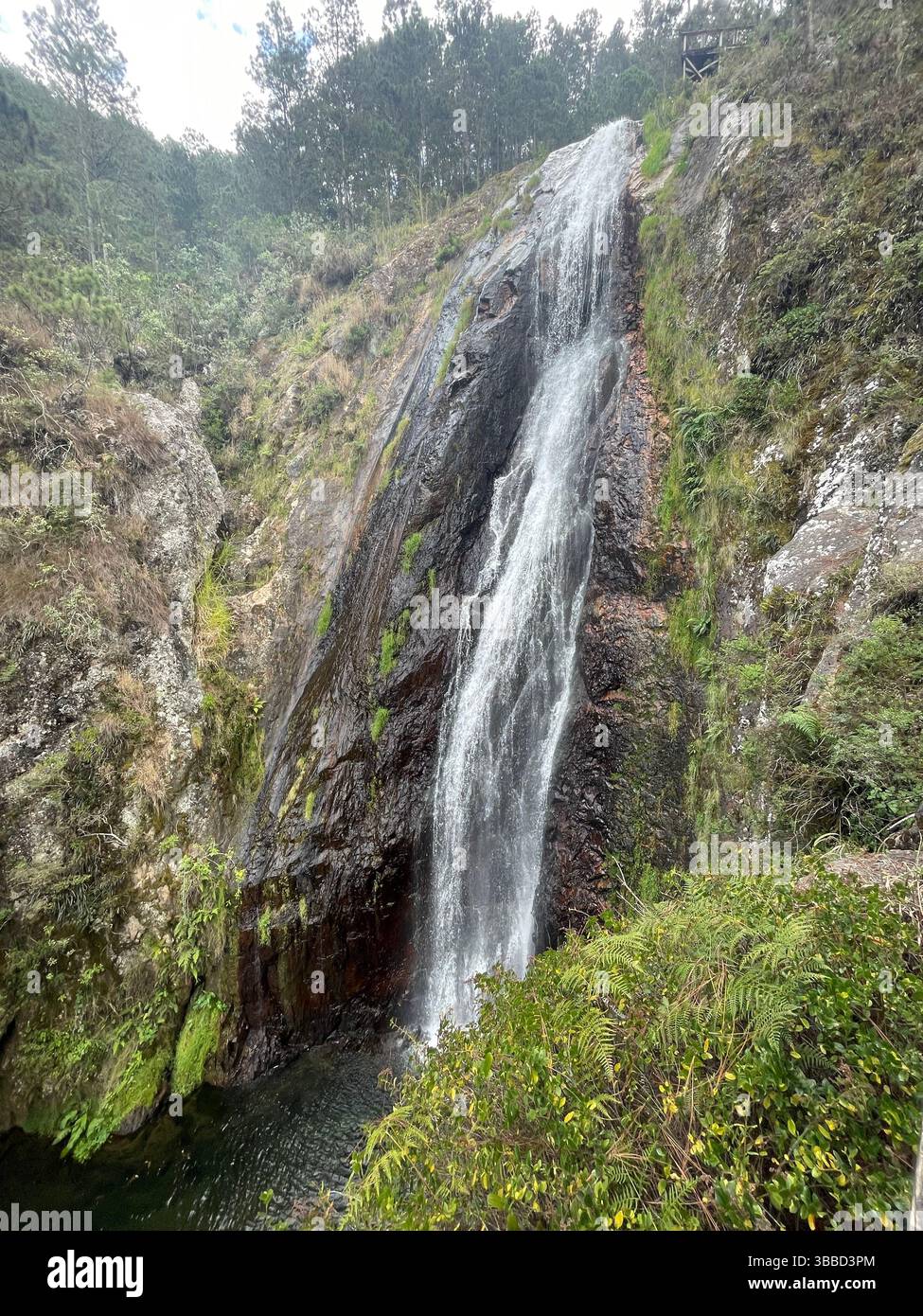 Stunning view from top of waterfall in the mountains on a tropical island - Smartphone Captured Stock Image