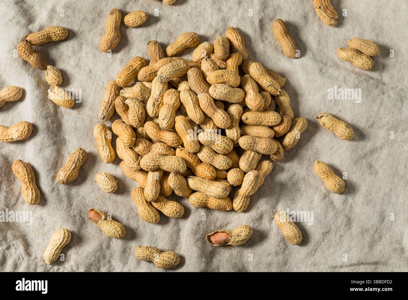 Raw Organic Unpeeled Peanuts in the Shell Ready to Eat Stock Photo