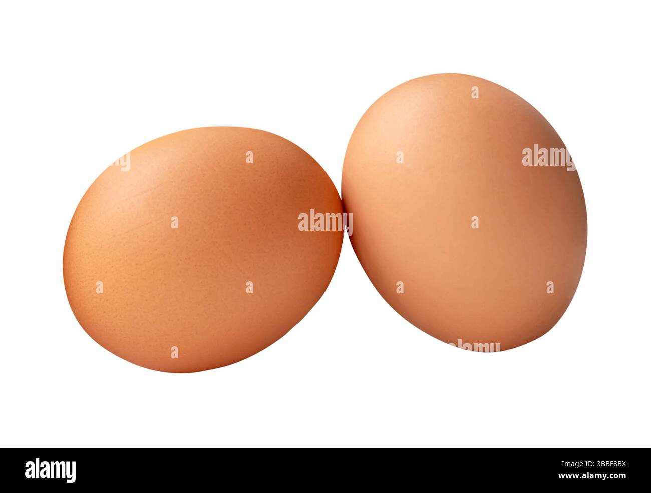 Two fresh brown chicken eggs in stack is isolated on white background with clipping path. Stock Photo