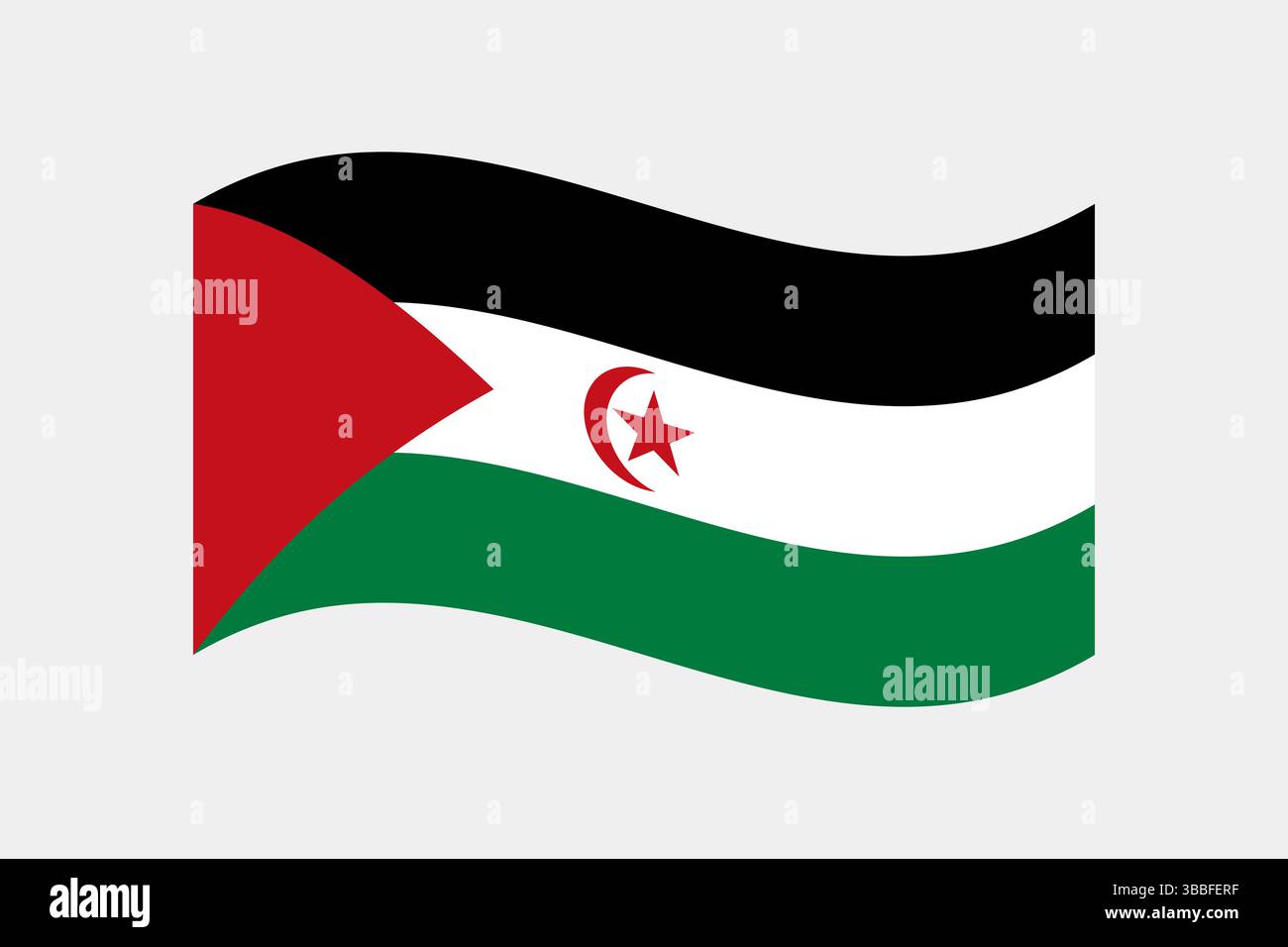 Flag of Sahrawi Arab Democratic Republic. Sahrawi Arab Democratic ...