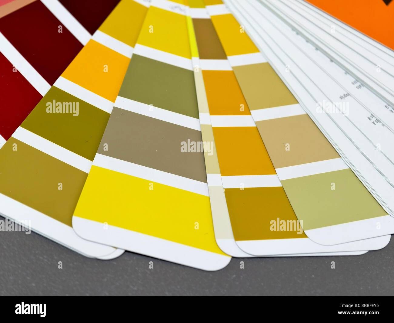 Shades of brown color samples hi-res stock photography and images - Alamy