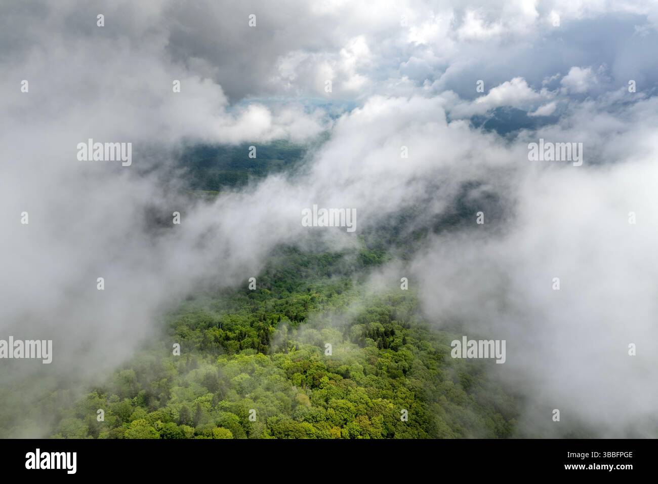 Deforestation rain forest hi-res stock photography and images - Alamy