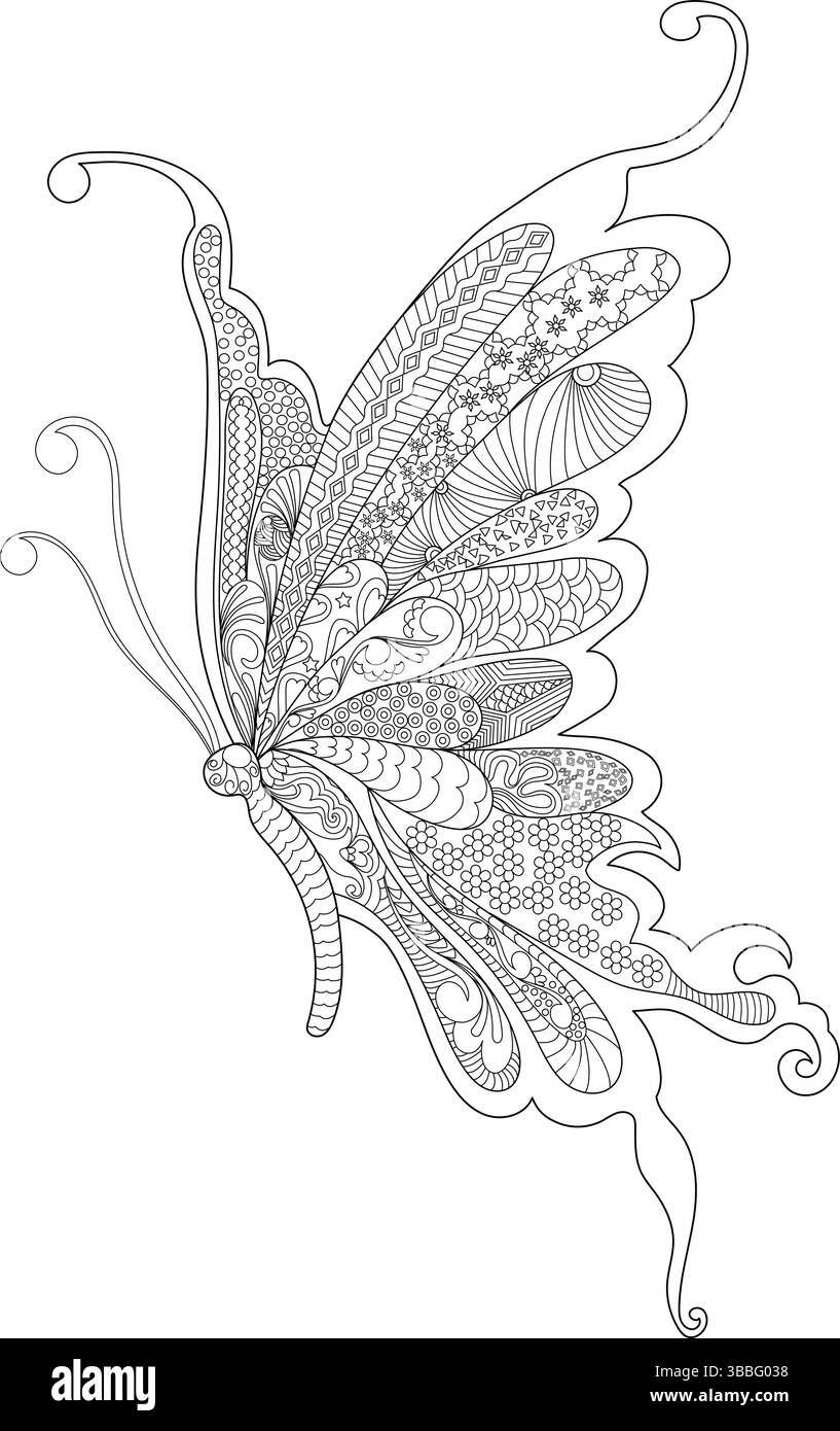 Detailed black and white line drawing of a butterfly wing featuring ...