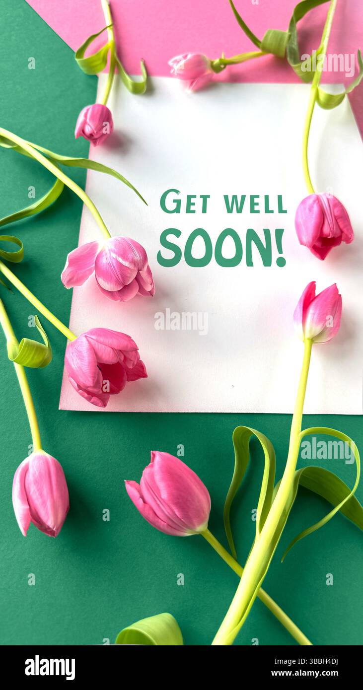 Pink tulips arranged on a vibrant green and pink background surrounding ...