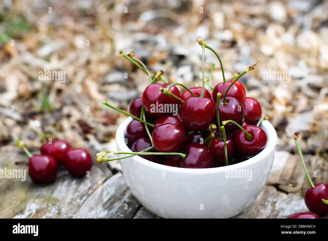 Fresh cherries Stock Photo