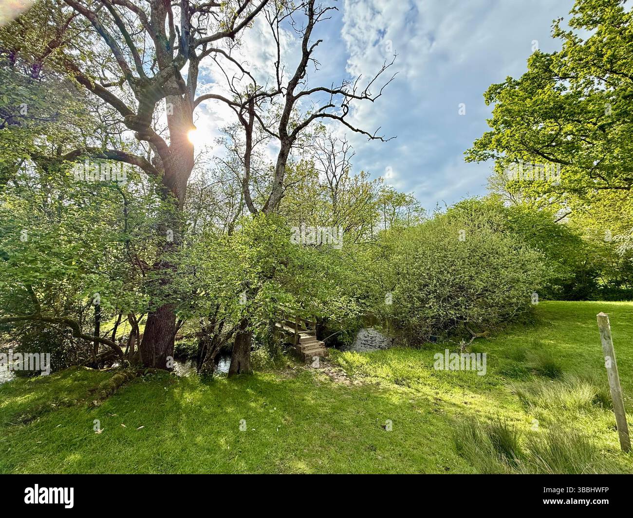 Footbridge over the River Kit (Kit Brook), Chardstock, Devon - Smartphone Captured Stock Image