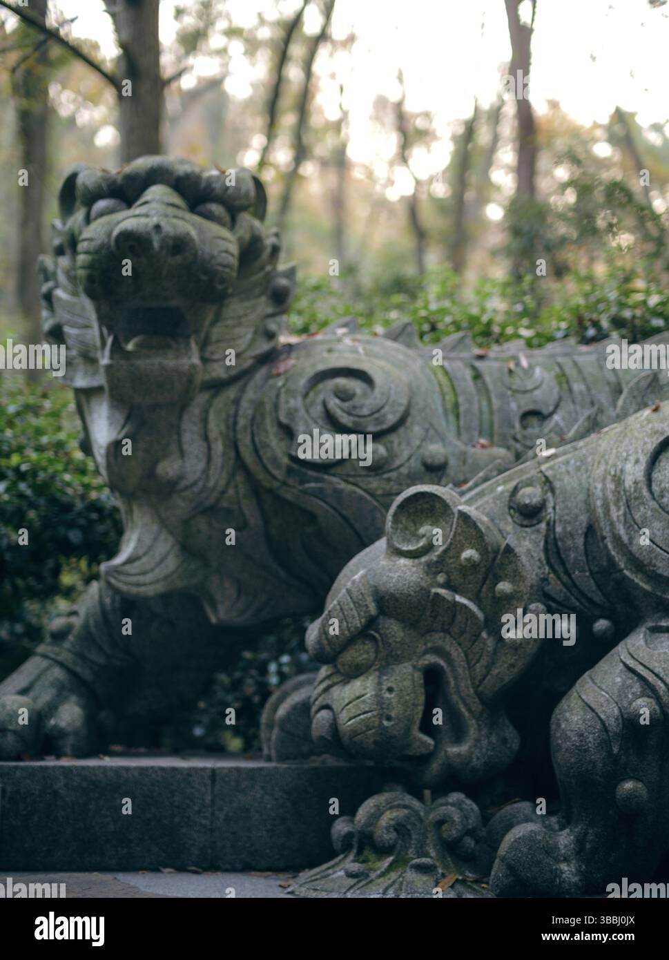 Weathered Stone Tiger Sculptures with Moss Accents Amid Lush Foliage at Hupao Tiger Spring, Hangzhou Stock Photo