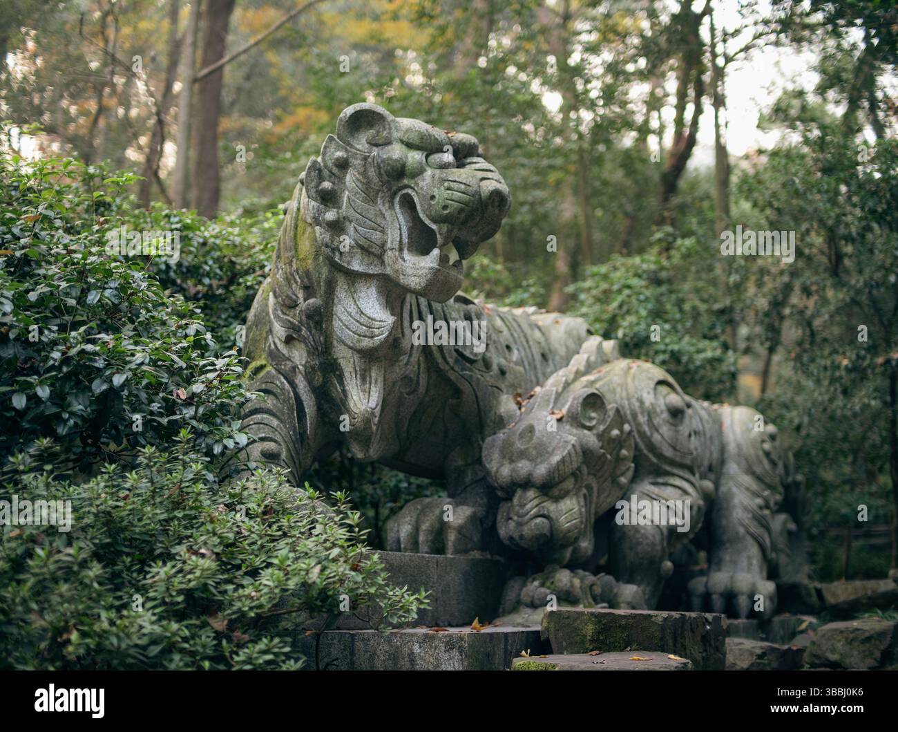 Moss-Covered Stone Tiger Statues Amid Woodland at Hupao Tiger Spring Park, Hangzhou Stock Photo