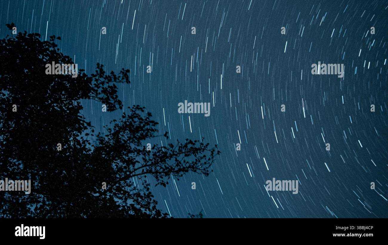 Long exposure star trails in the night sky with tree silhouettes Stock ...