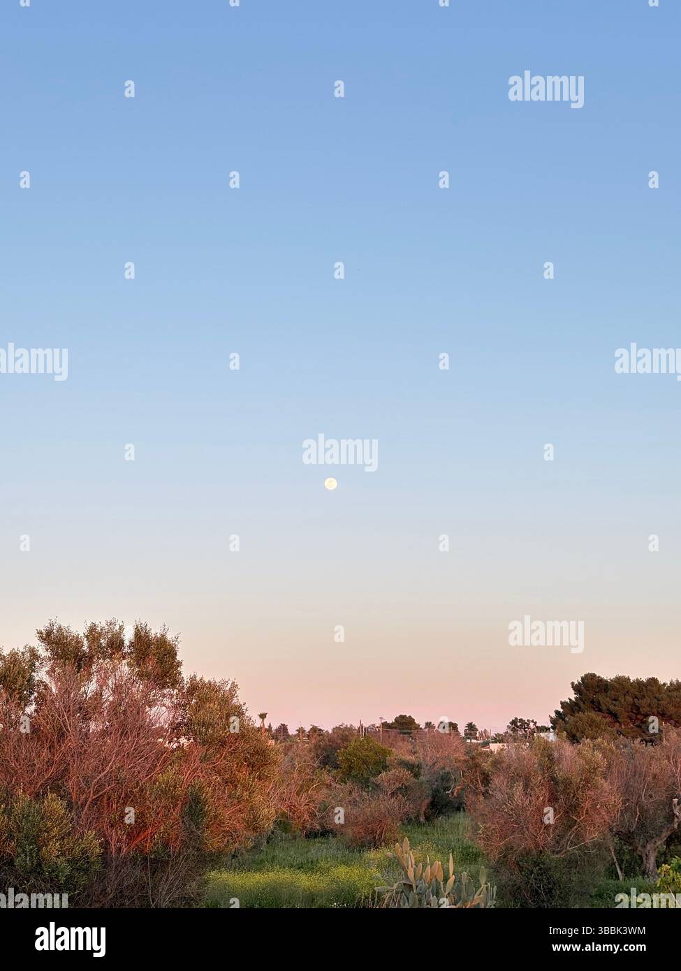 The Sky and Sun - Smartphone Captured Stock Image