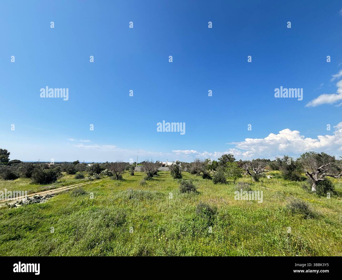 The Sky and Sun - Smartphone Captured Stock Image