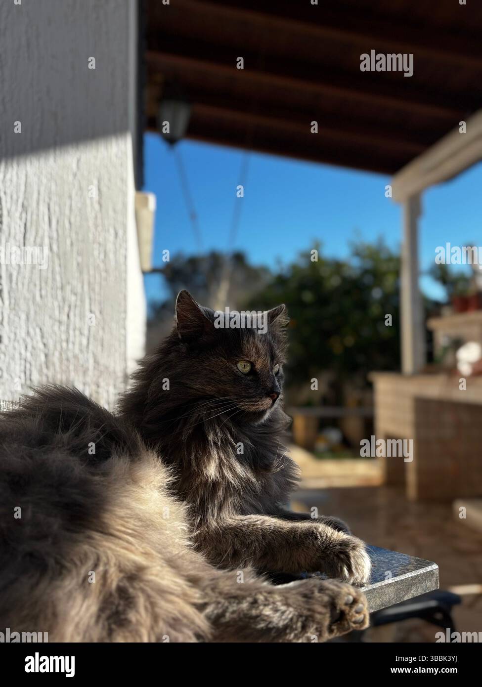 The Sky and Sun - Smartphone Captured Stock Image