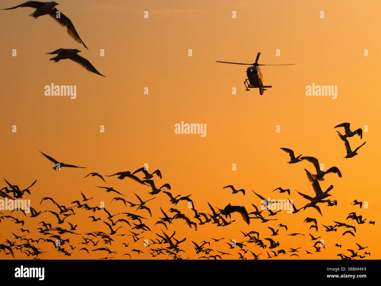Flight paths hi-res stock photography and images - Alamy