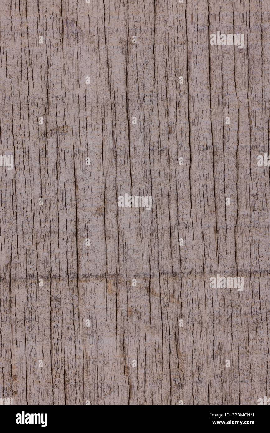 Aged Wood Siding Closeup Stock Photo