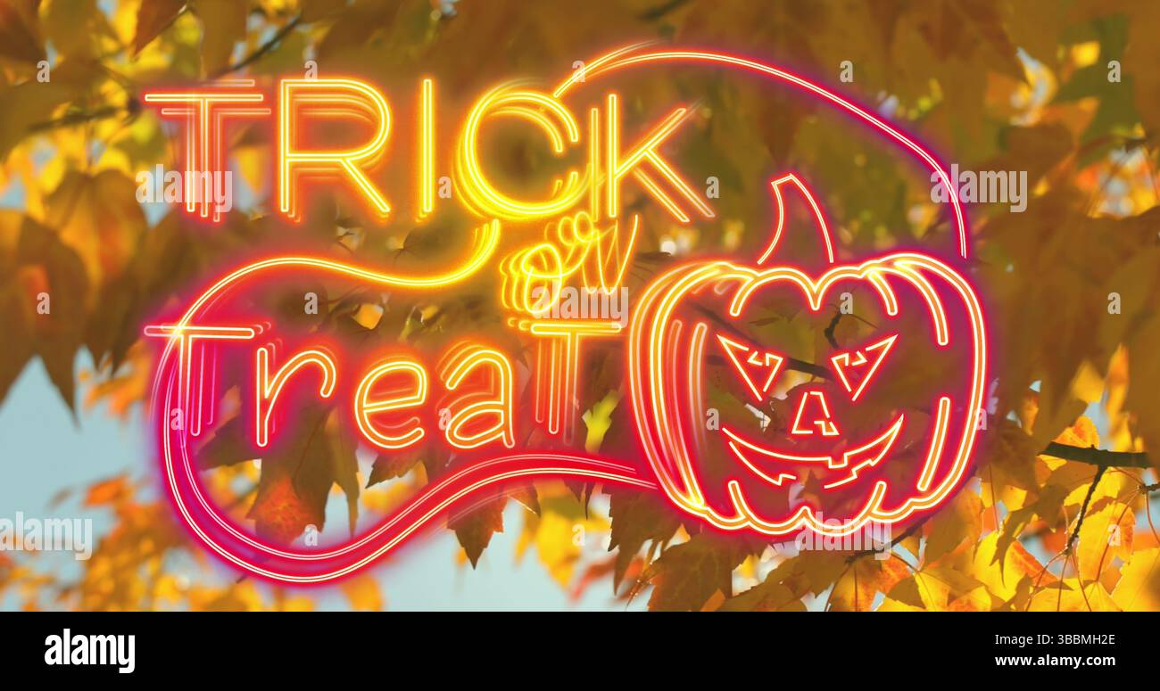 Image of trick or treat text over leaves Stock Photo