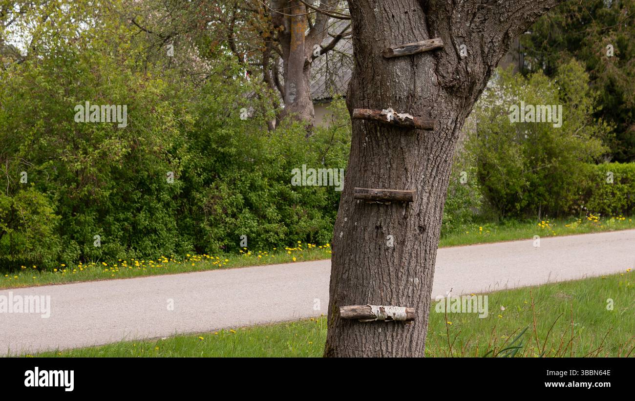 Rural backyard setting hi-res stock photography and images - Alamy