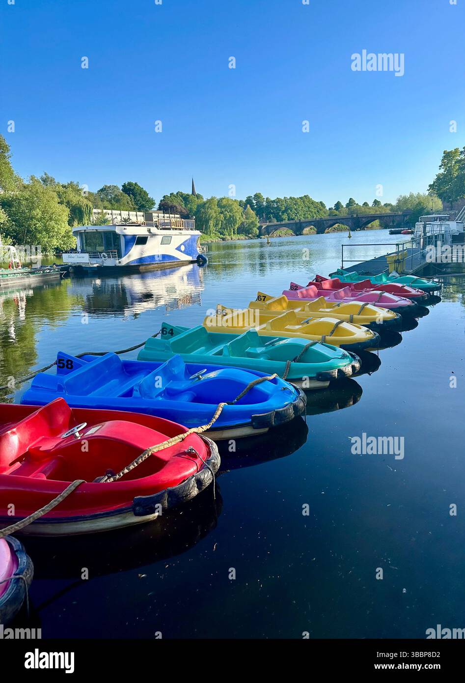 Bright pedalos on River Dee, Chester, with blue sky, calm reflections, tourist boat in background, and trees lining the banks on a sunny day. - Smartphone Captured Stock Image