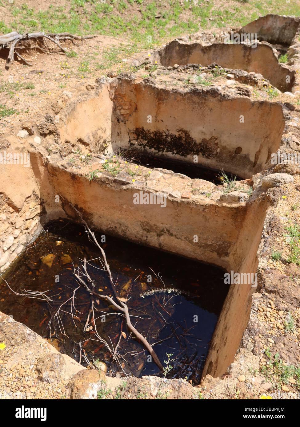 Salting tanks by the River Formosa are archaeological evidence of the ...