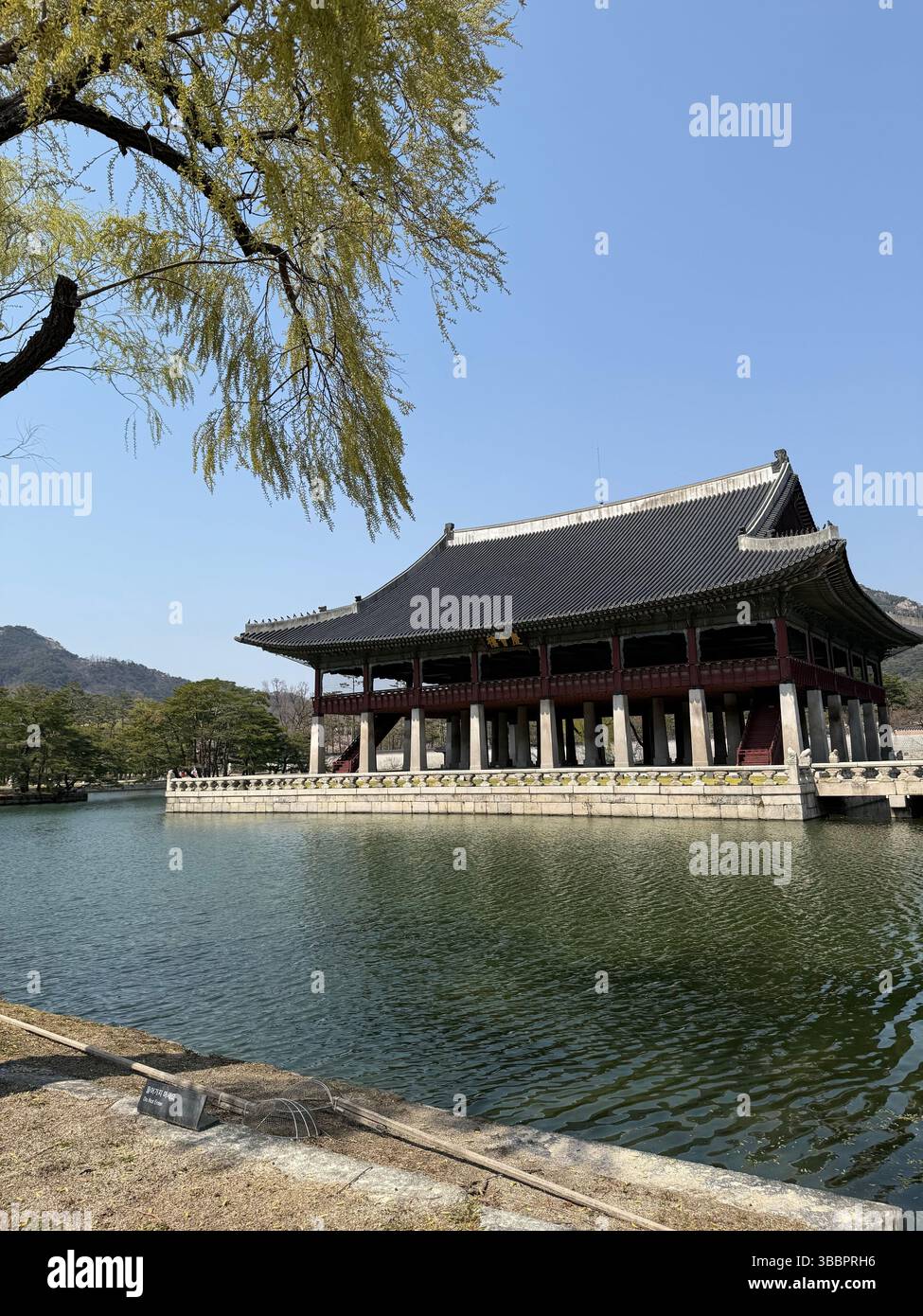 Gyeonghoeru Pavilion at Gyeongbokgung Palace reflects in the peaceful waters of Seoul, framed by spring branches and a clear blue sky. - Smartphone Captured Stock Image