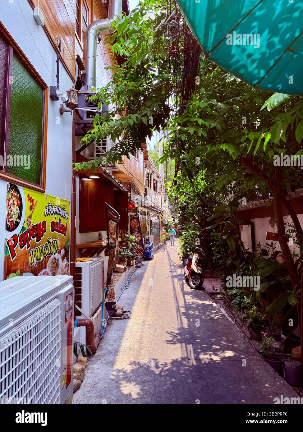 A sunlit alley in Southeast Asia lined with greenery, scooters, and street food signs, capturing the charm of everyday local life. - Smartphone Captured Stock Image