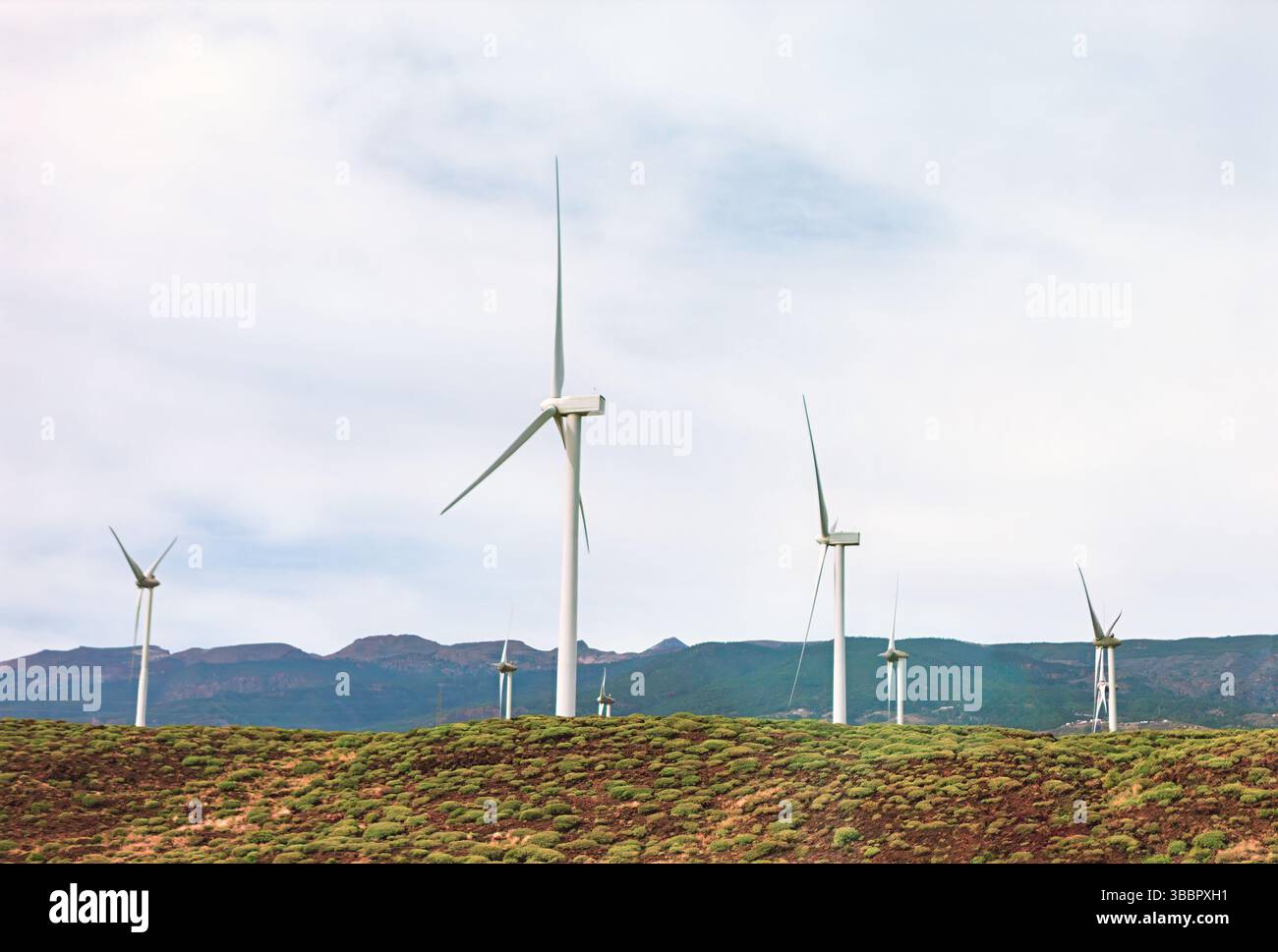 Landscape of wind turbines stands tall against backdrop of rolling ...