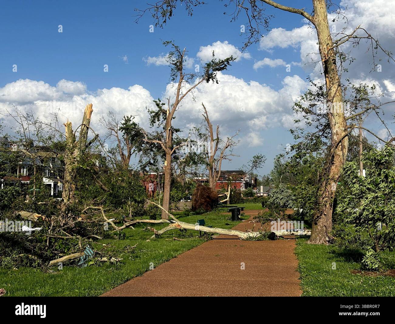 Damaged and fallen trees are seen in St. Louis, Missouri, on Friday ...