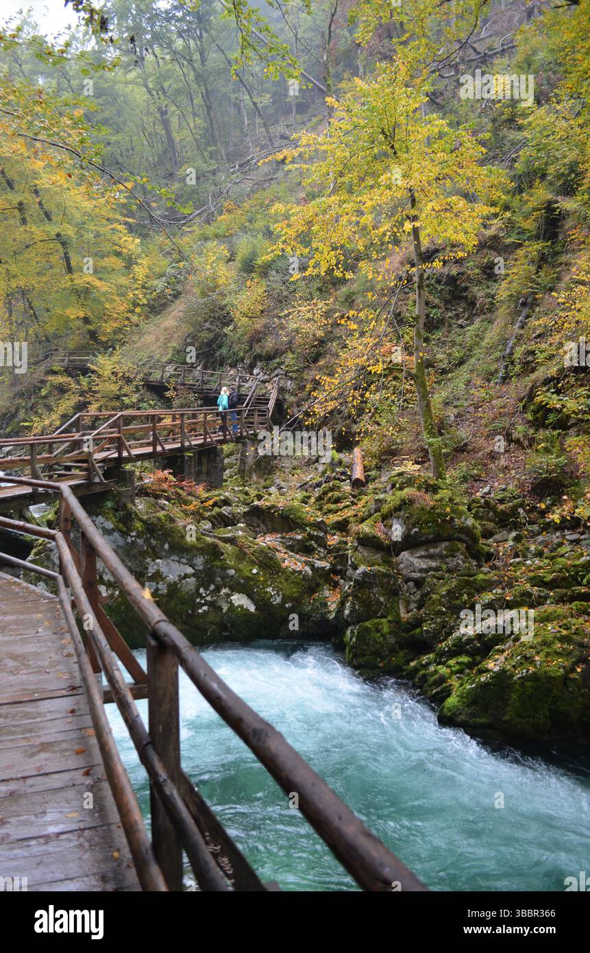 Vintgar Gorge, Slovenia. October 12 2015: Scenic view of tourists on wooden pathways over turquoise Radovna River surrounded by fall foliage and mossy Stock Photo