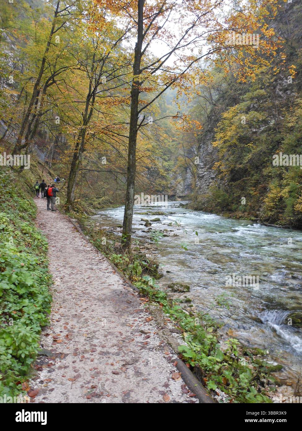 Vintgar Gorge, Slovenia. October 12 2015: Scenic view of tourists on wooden pathways over turquoise Radovna River surrounded by fall foliage and mossy Stock Photo