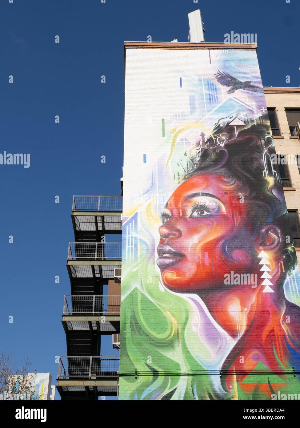 Houston, Texas, Elevation mural of a Black woman that pays tribute to ...