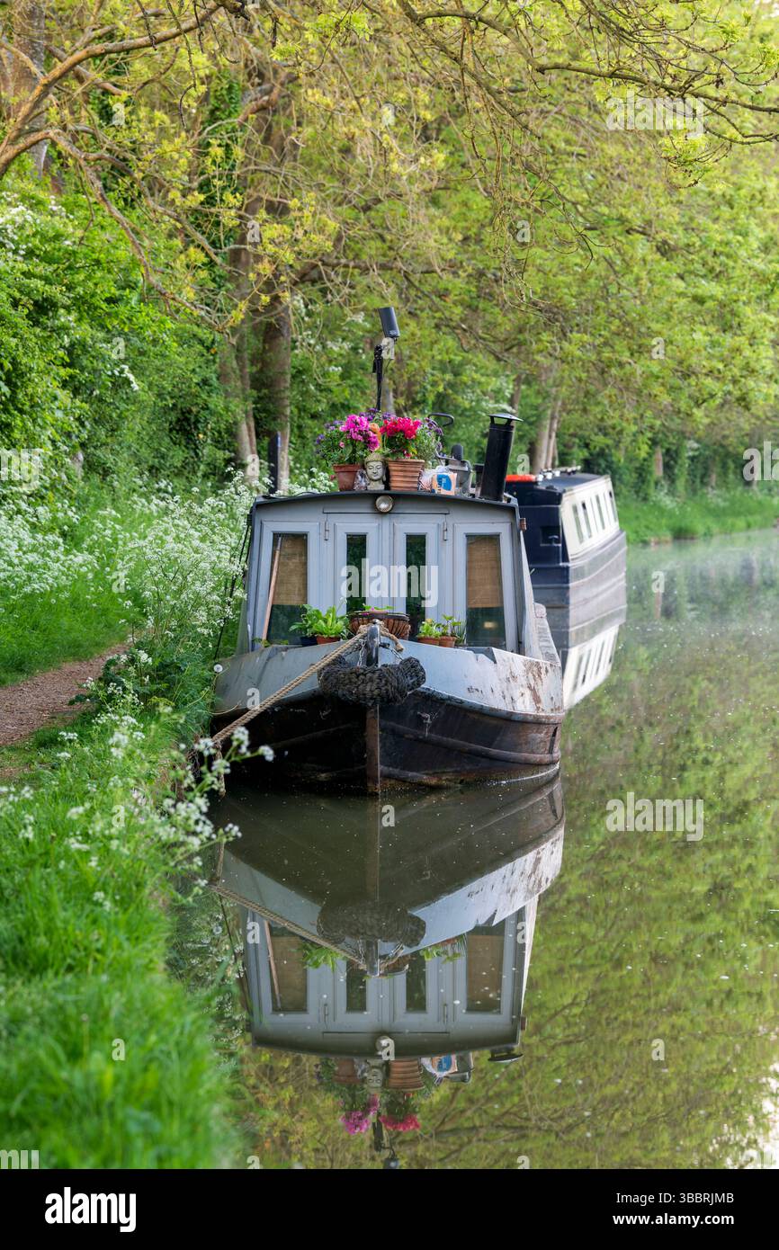 Canal boat on the oxford canal in spring. Oxfordshire, England Stock Photo