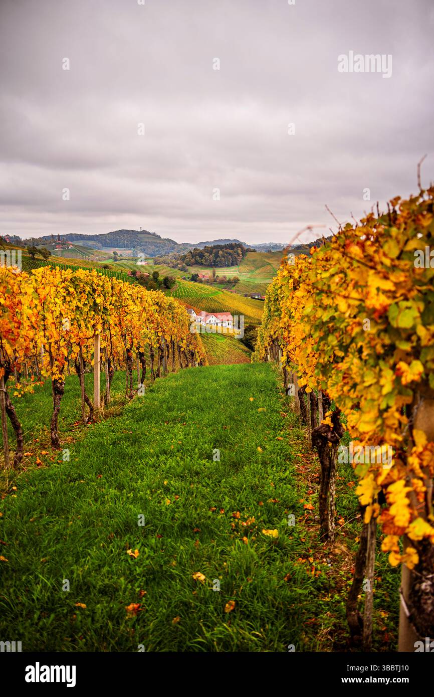Styria wine region hi-res stock photography and images - Alamy
