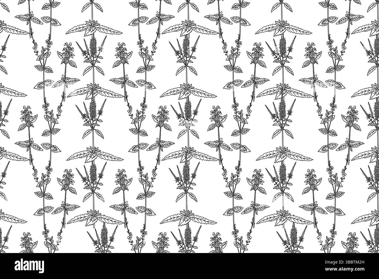 Line Stem Pattern Line art botanical floral seamless pattern with wildflowers vector ...