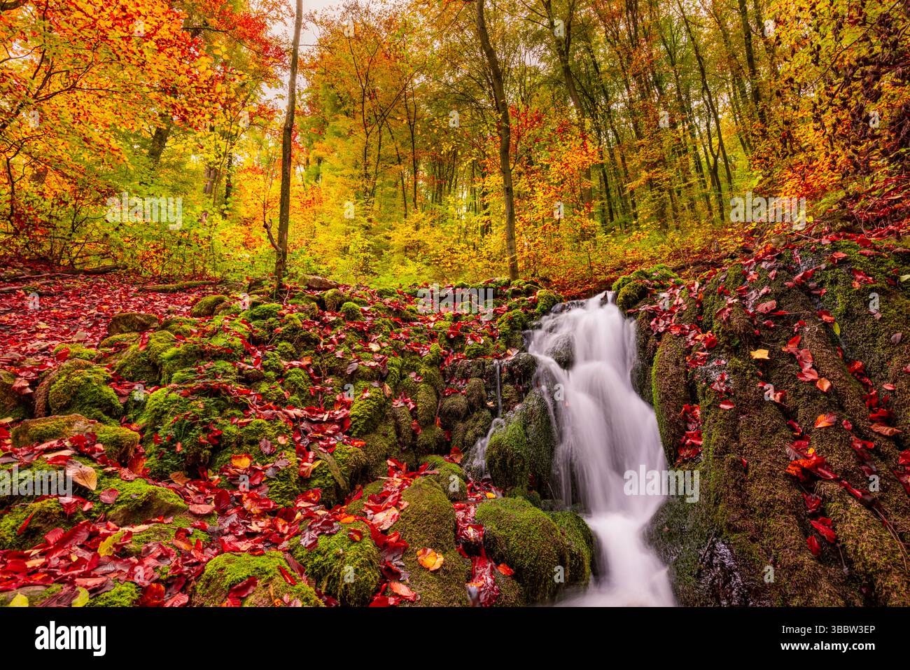 Beautiful serene mountain creek with calm water flow surrounded by colorful autumn leaves, amazing seasonal nature scenery and tranquil landscape Stock Photo