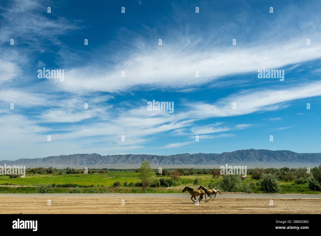 Freedom Ride Across the Xinjiang Plains Stock Photo - Alamy