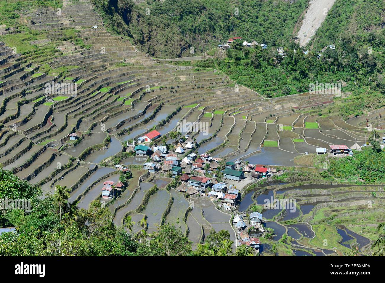 Ifugao,Batad,village and rice terraces, Philippines,South East Asia ...
