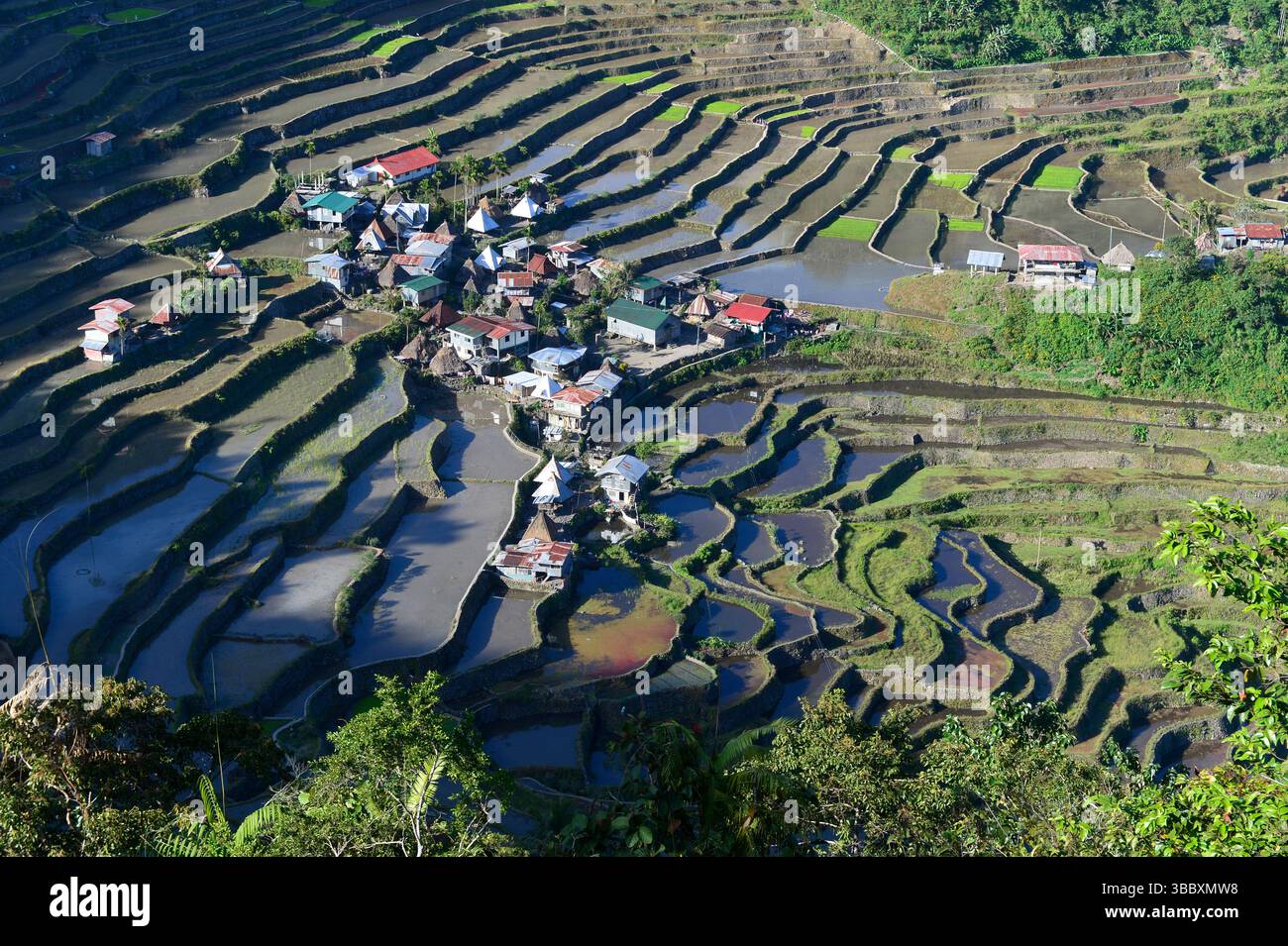 Ifugao,Batad,village and rice terraces, Philippines,South East Asia ...