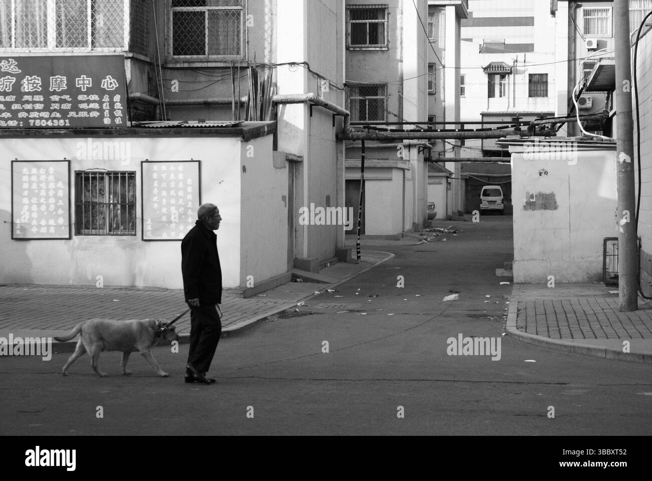 Elderly Man Walking Dog on Dongying Residential Street at Dawn – Monochrome Urban Scene Stock Photo