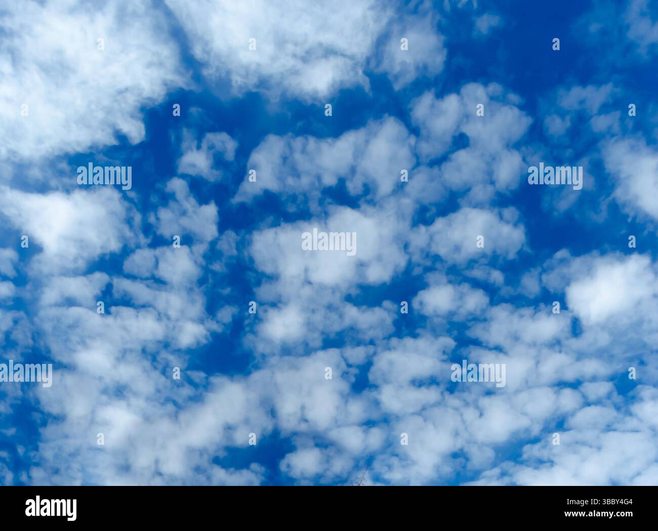 Cloud filled sky overhead Stock Photo