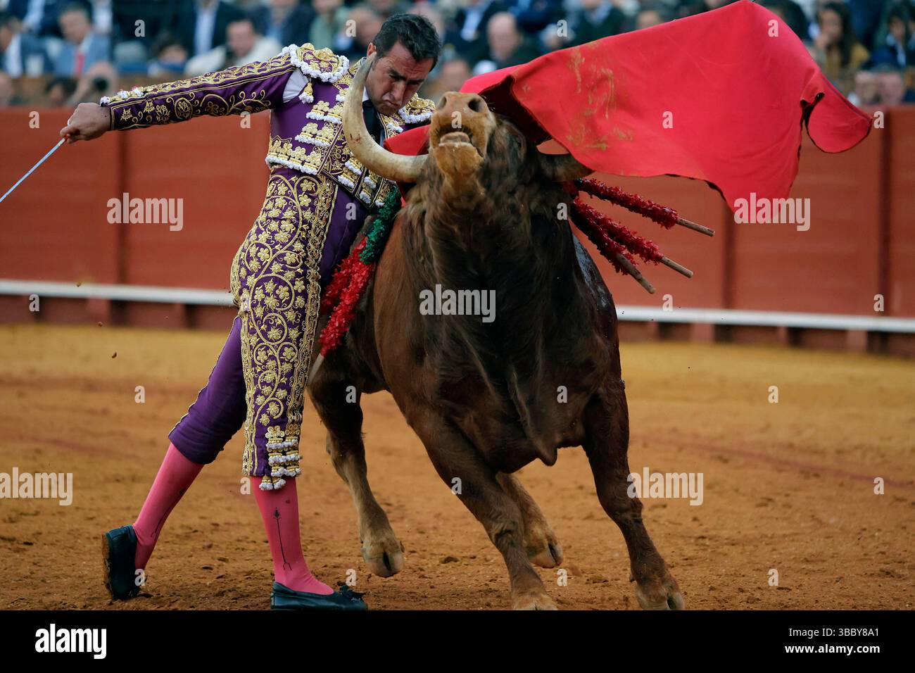 Seville, April 30, 2025. Bullfight held at La Maestranza for bullfighters El Fandi, David Galván, and Ginés Marín. Pictured is El Fandi, wearing eggplant and gold. Photo: Juan Flores. ARCHSEV. Credit: Album / Archivo ABC / Juan Flores Stock Photo