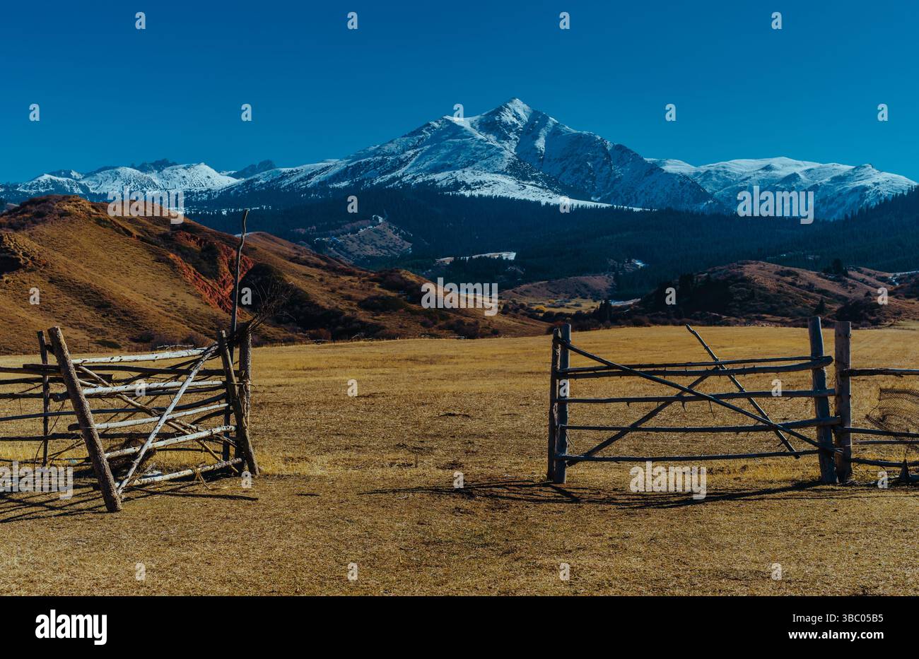 Rustic Pasture Old rustic corral fence hi-res stock photography and images - Alamy